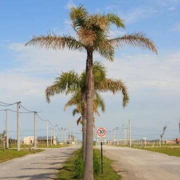 CHA Venta Lote 3700m2 El Lazo Capilla del Señor