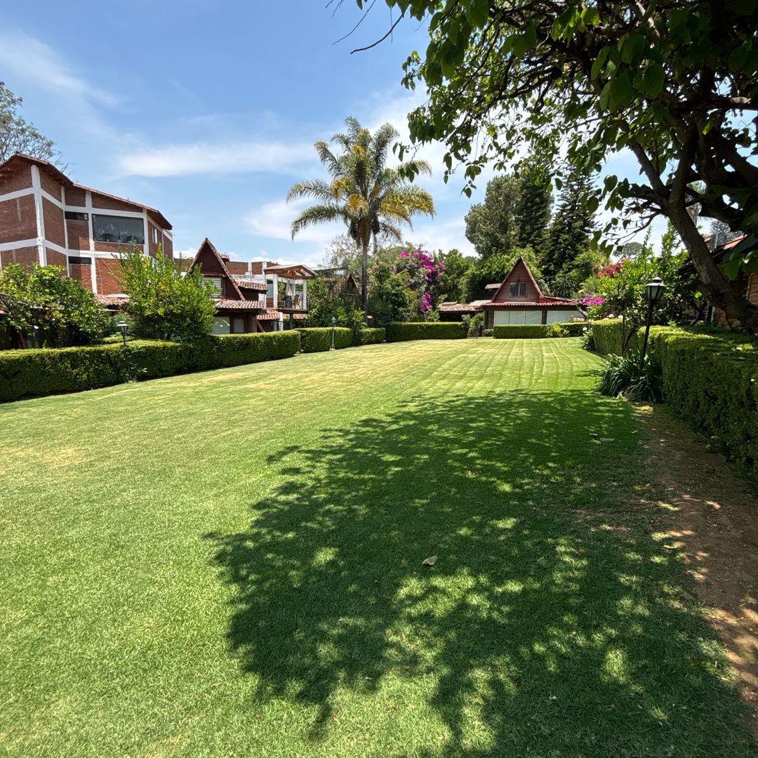 DJI_20260417_124255_674.JPG