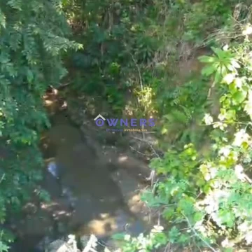 VENDO FINCA DE 4 HA. CON RIACHUELO Y ARBOLES FRUTALES. PAJAN (MM)