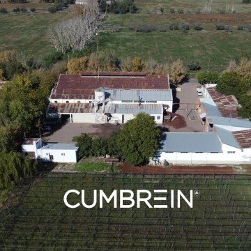 Bodega y Viñedos en Venta en San Rafael | Cumbrein