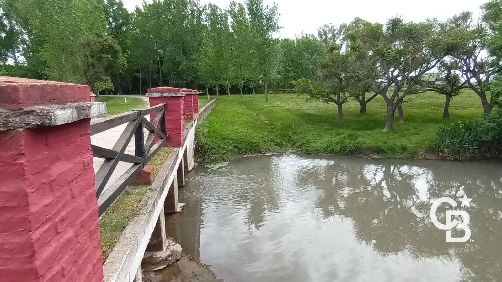 image 60