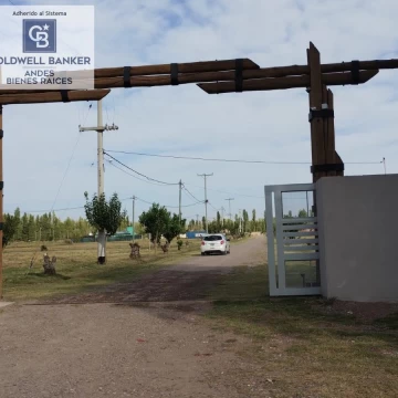 lote 