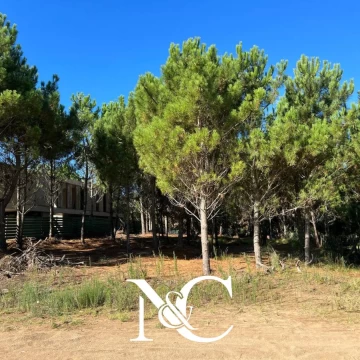Lote  Terreno en venta en Costa Esmeralda