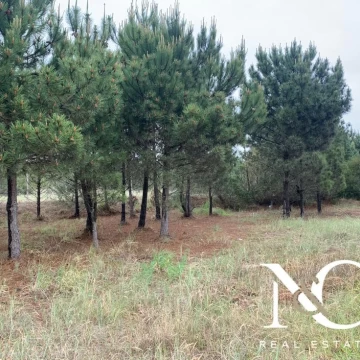 Terreno lote en venta en Costa Esmeralda Golf II