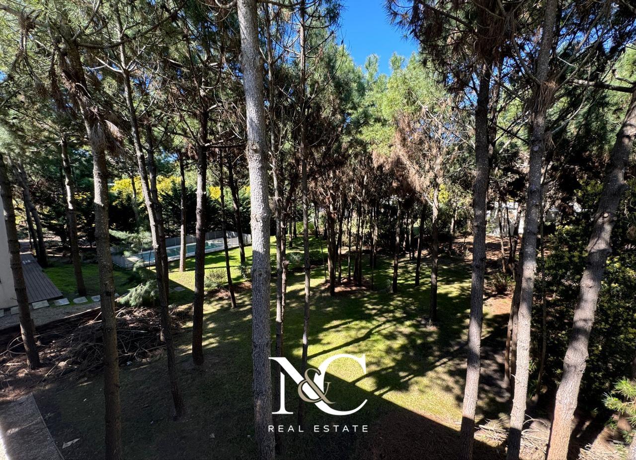 image 30
