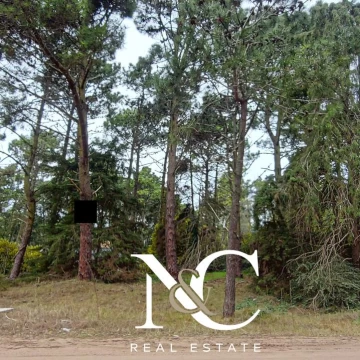 Terreno lote en  venta en Carilo