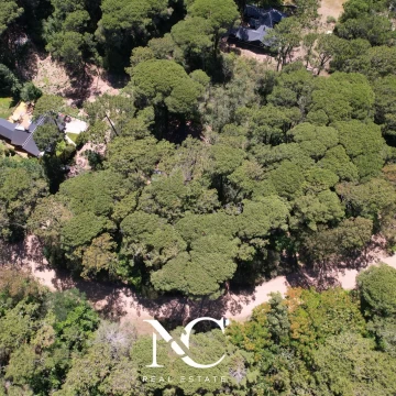 Terreno lote en venta en Carilo