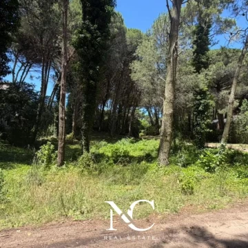 Terreno en Venta en Carilo