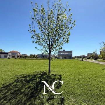 Terreno en San Lucas Canning