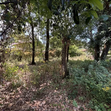 Terreno en venta Avandaro