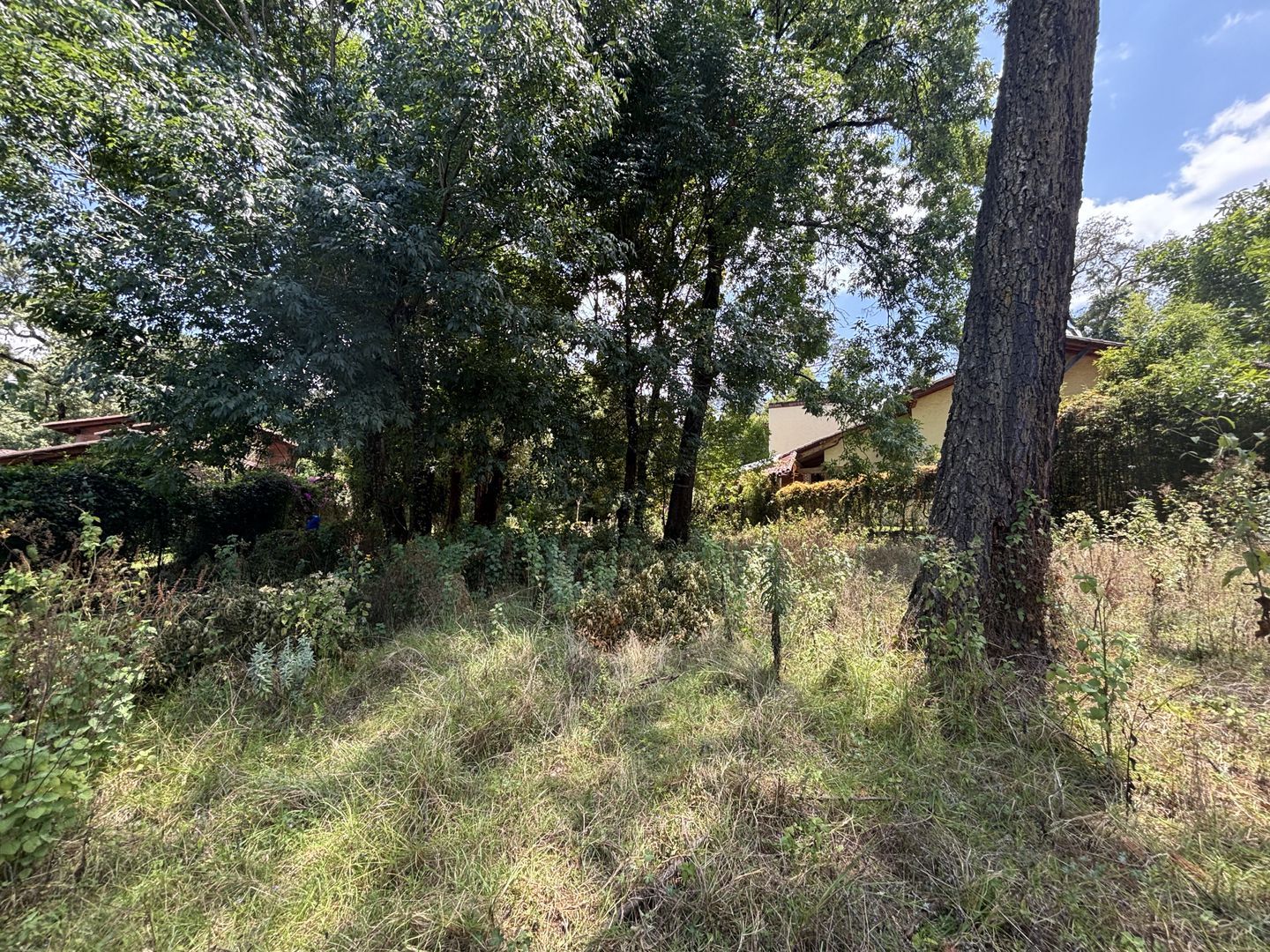 IMG_6714.jpg
