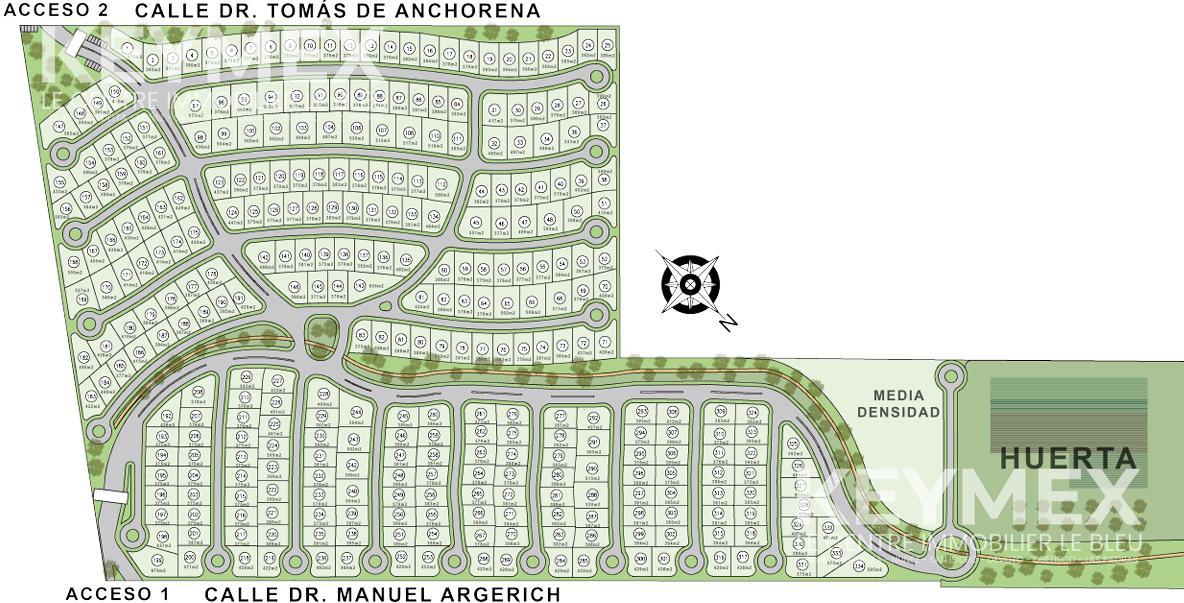 Plano