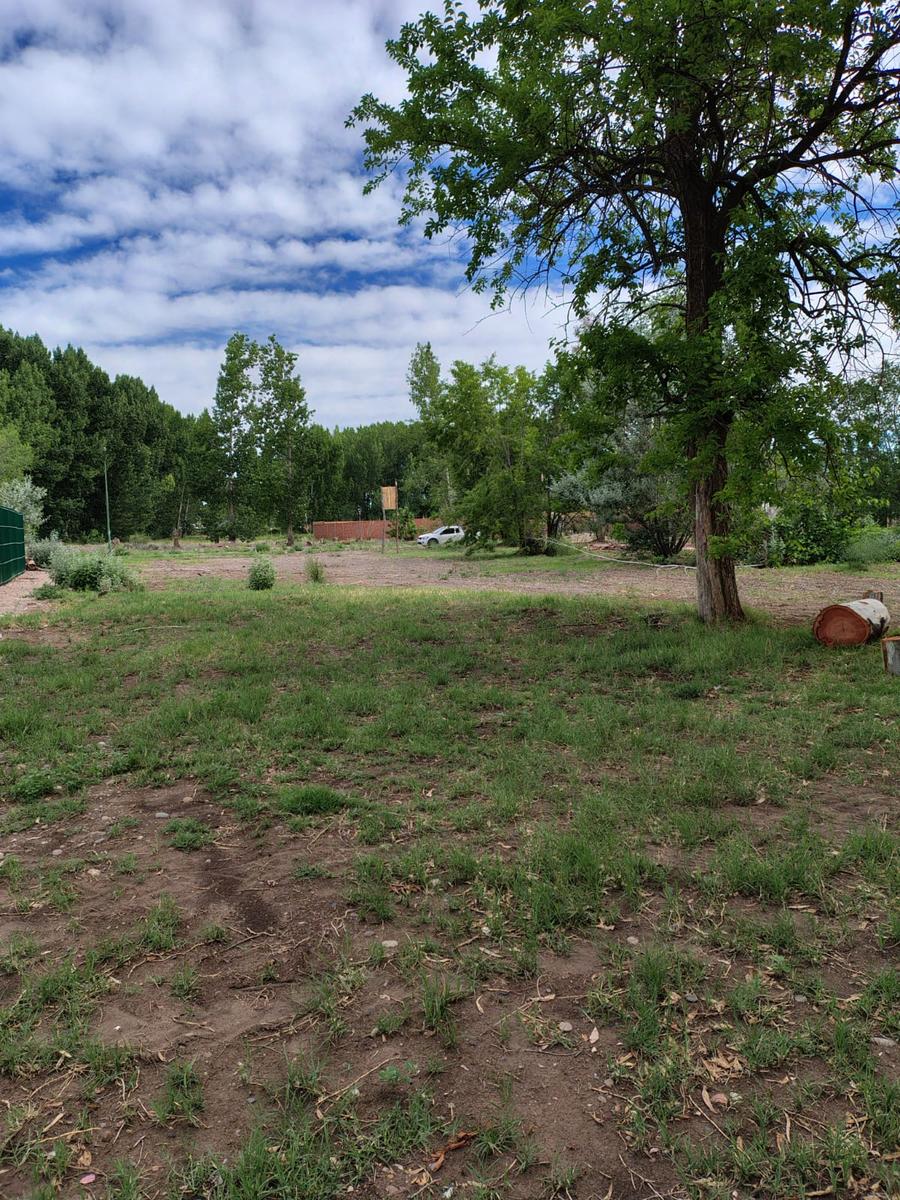 image 14