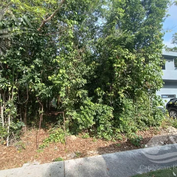 Terreno en Venta en Paseos de la Selva II
