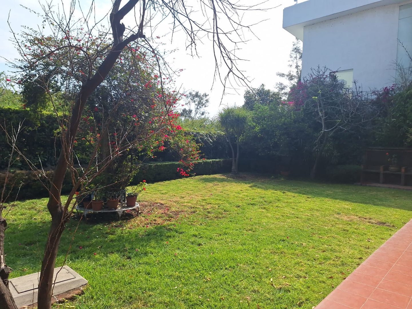 JARDIN B.jpg