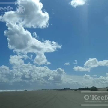 Campo en venta de 139 has en Tres Arroyos