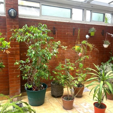 Departamento en venta en Villa Urquiza 4 ambientes patio , balcon, cochera y baulera