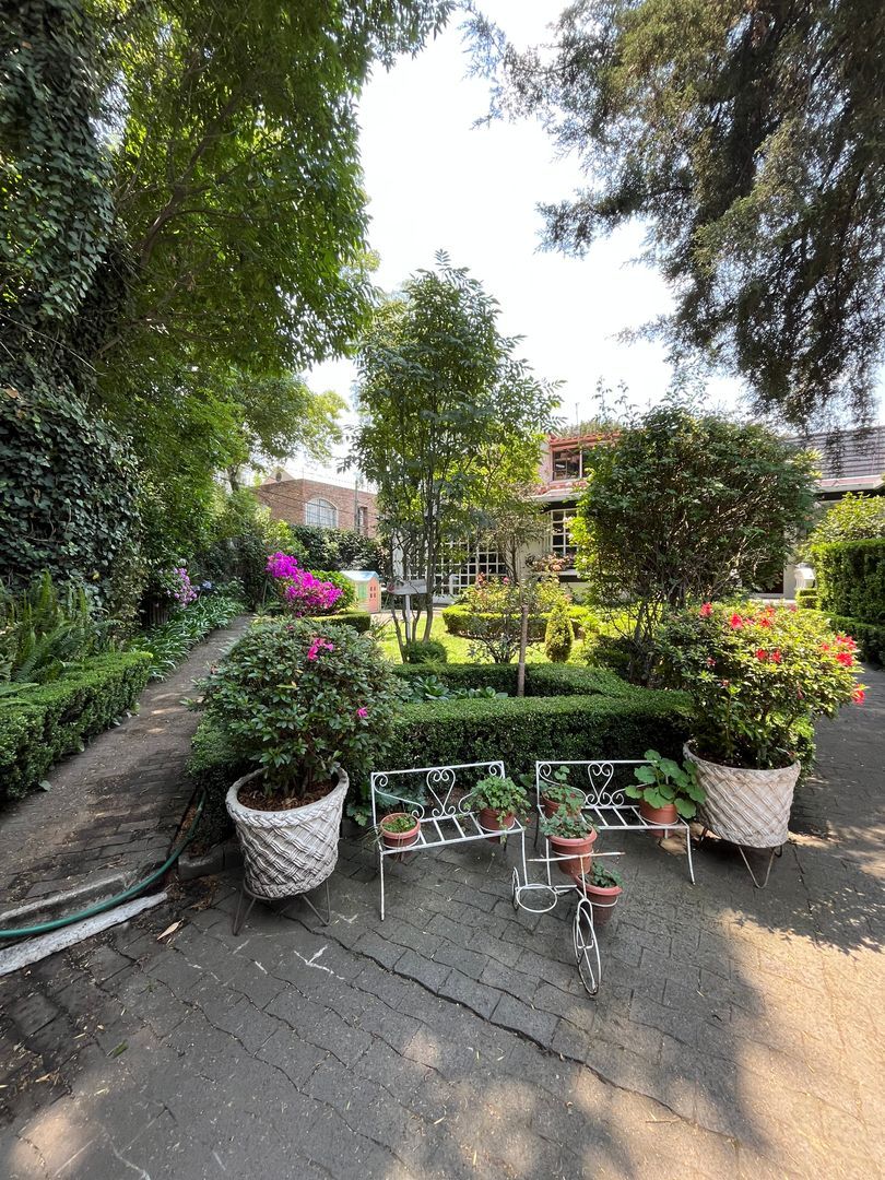 jardin.jpeg