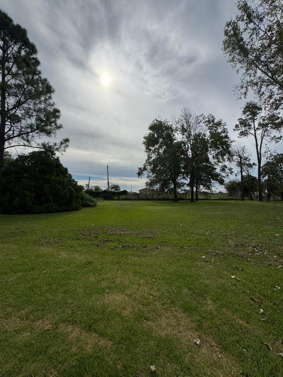 image 25