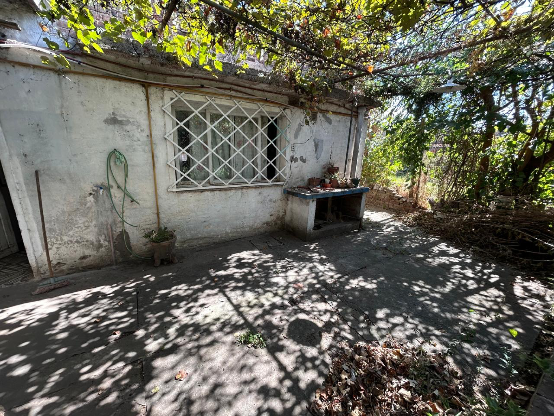 image 14
