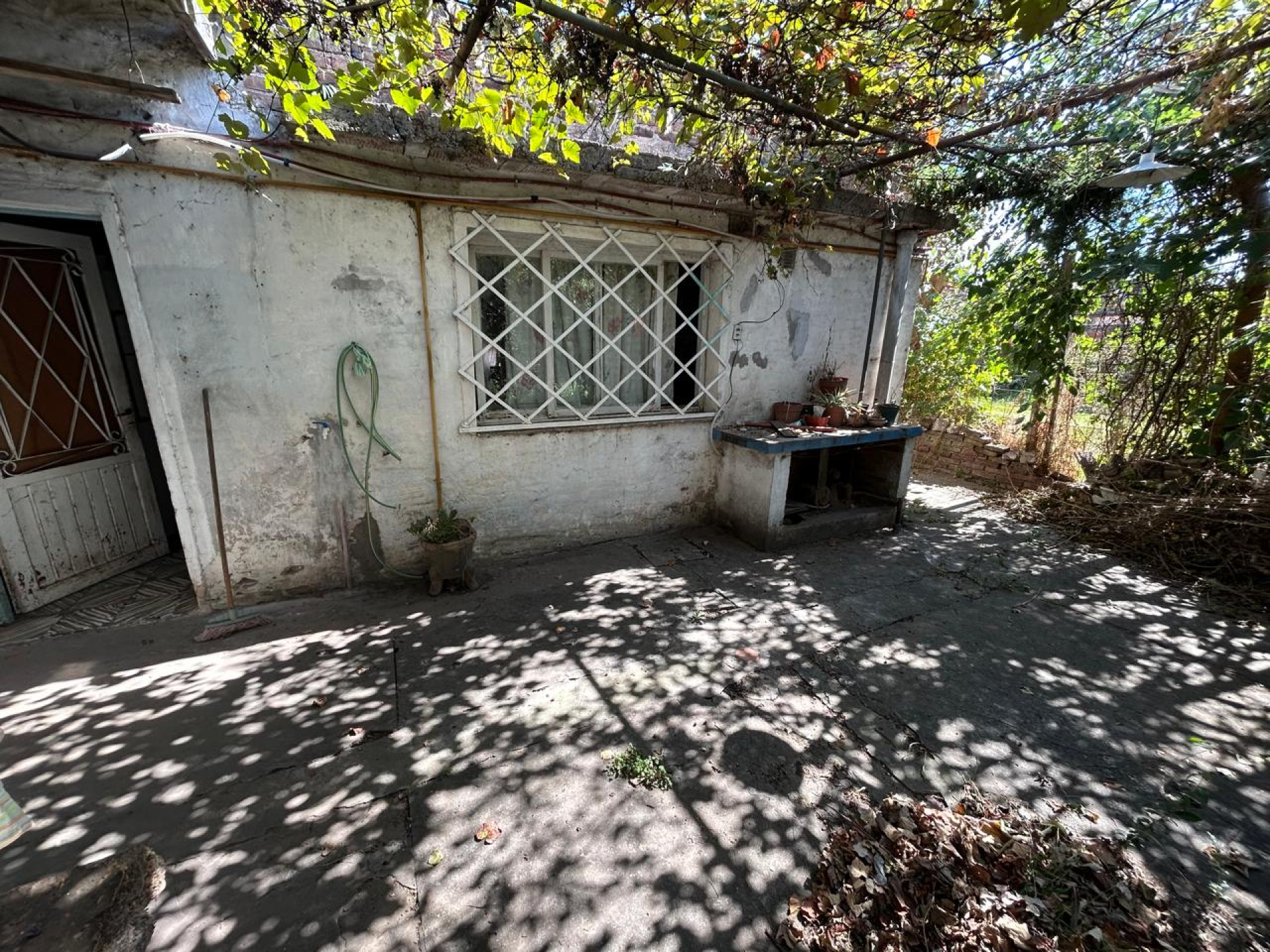 image 15