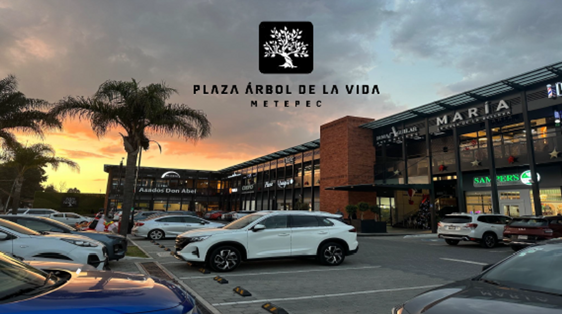 foto plaza arbol de la vida atardecer.png