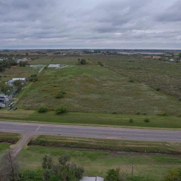 Campo en Venta Apto Desarrollo en Alvear Sobre Ruta 18