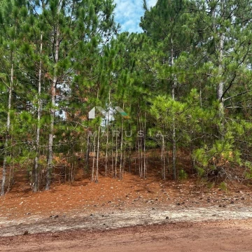 Terreno Urbano  en Venta en El Faro, Carmelo, Colonia