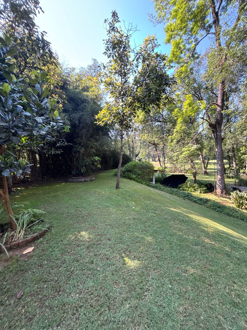DJI_20260106_105043_065.JPG