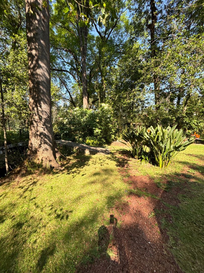 DJI_20260106_105238_671.JPG
