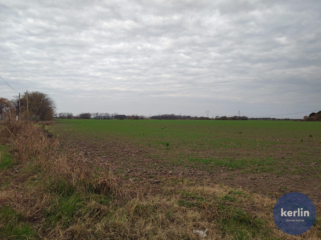 image 14