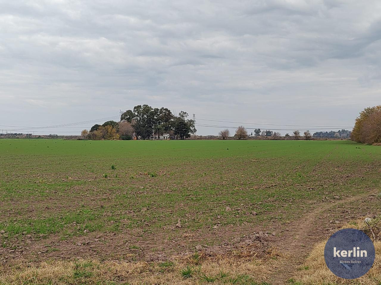 image 17