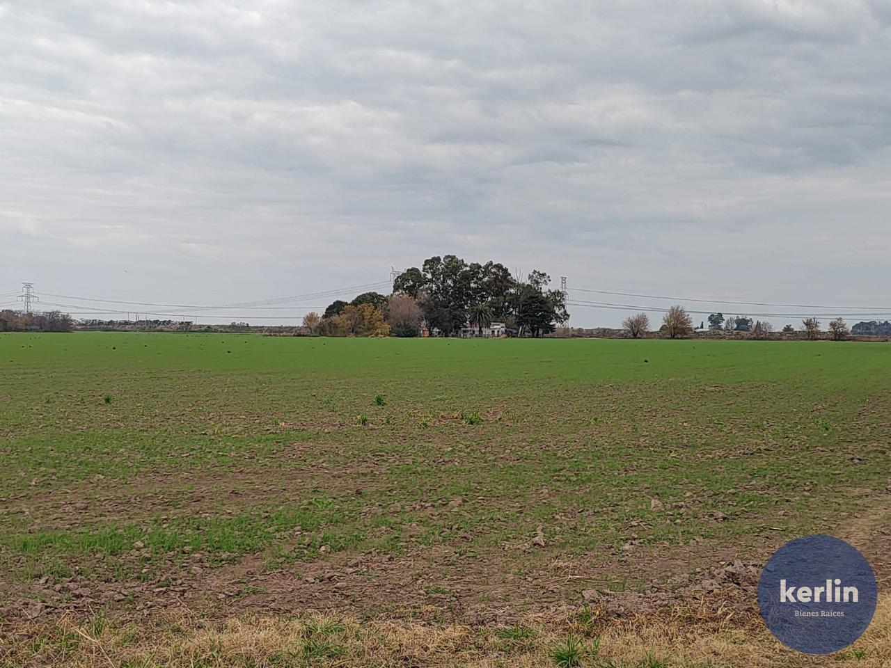 image 18
