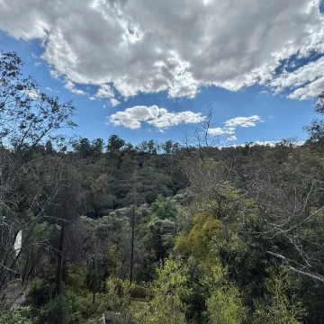 VENTA DE TERRENO EN LOMAS ALTAS