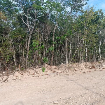 Terreno en Venta en Altai