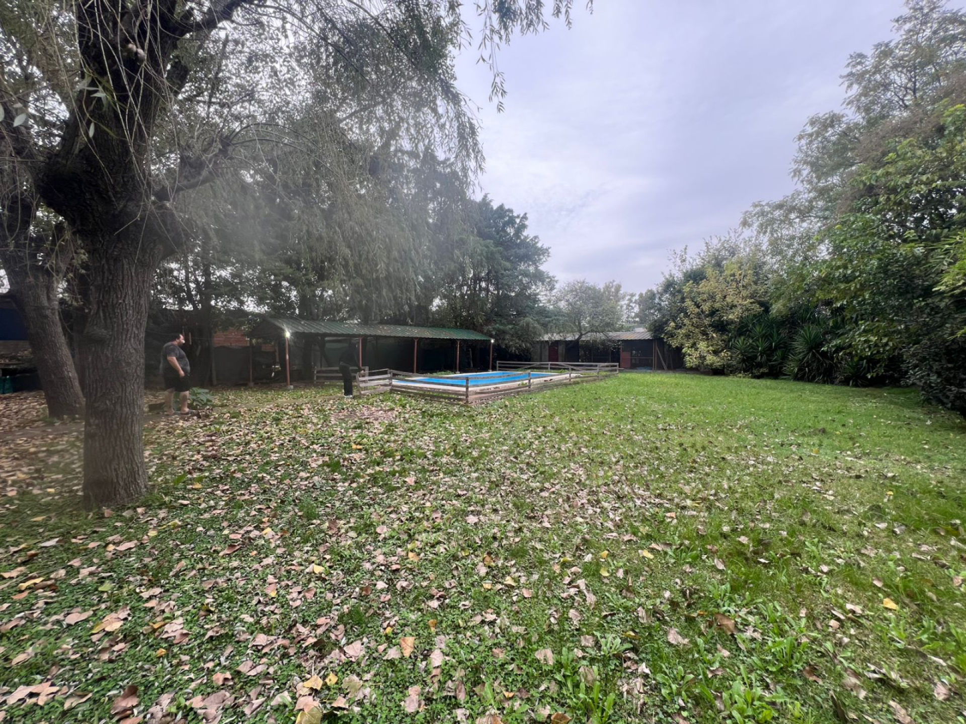 image 21