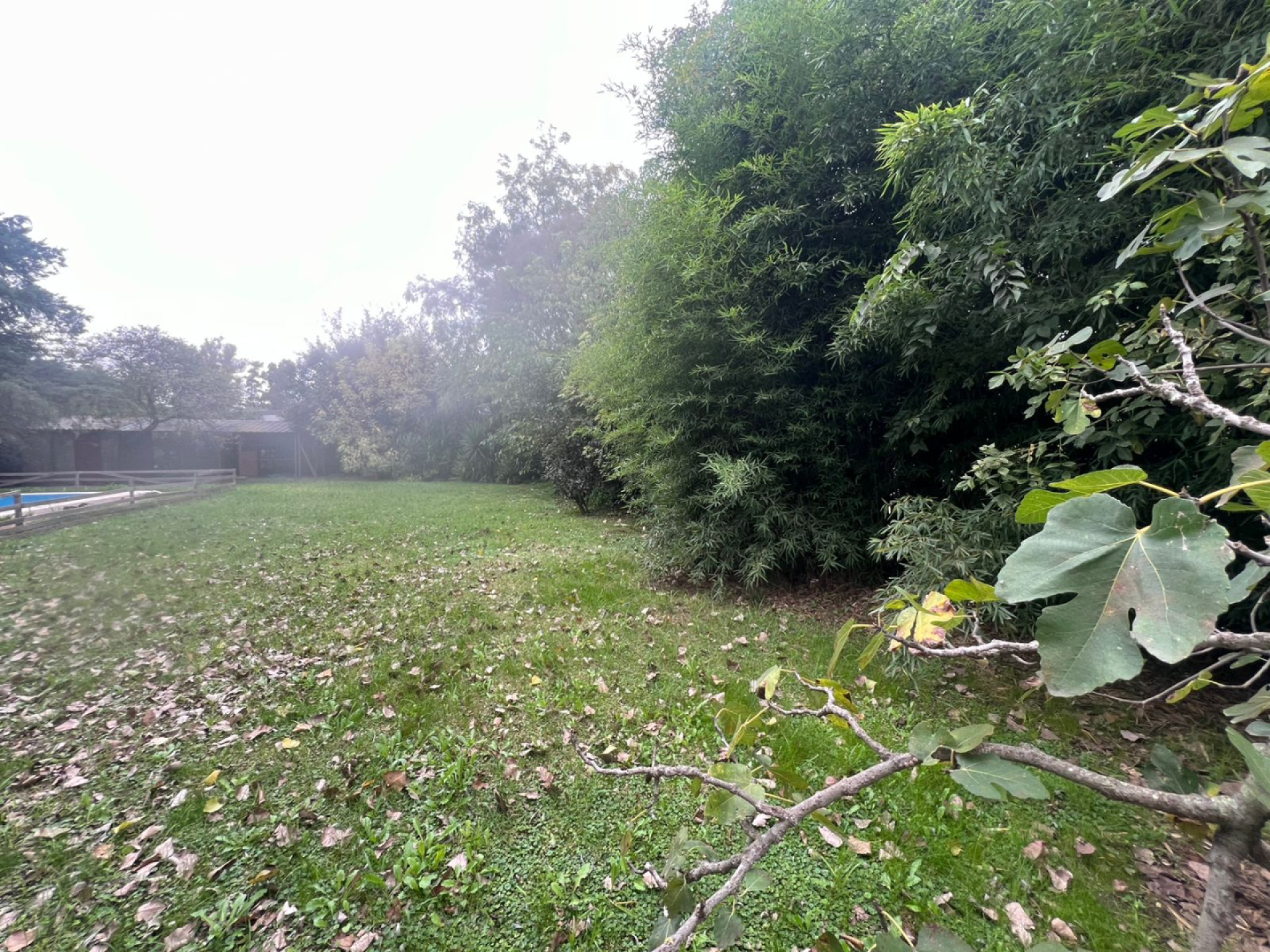 image 23