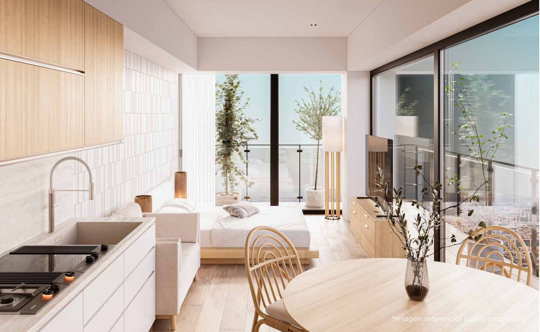 Casa Roma 336 - estancia foto.jpg