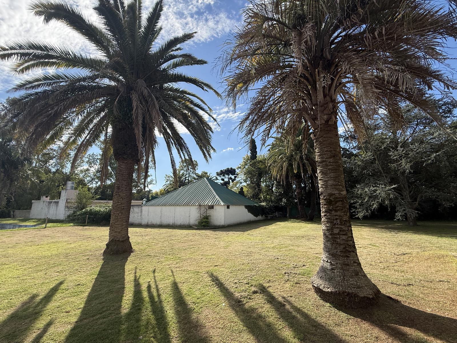 image 32