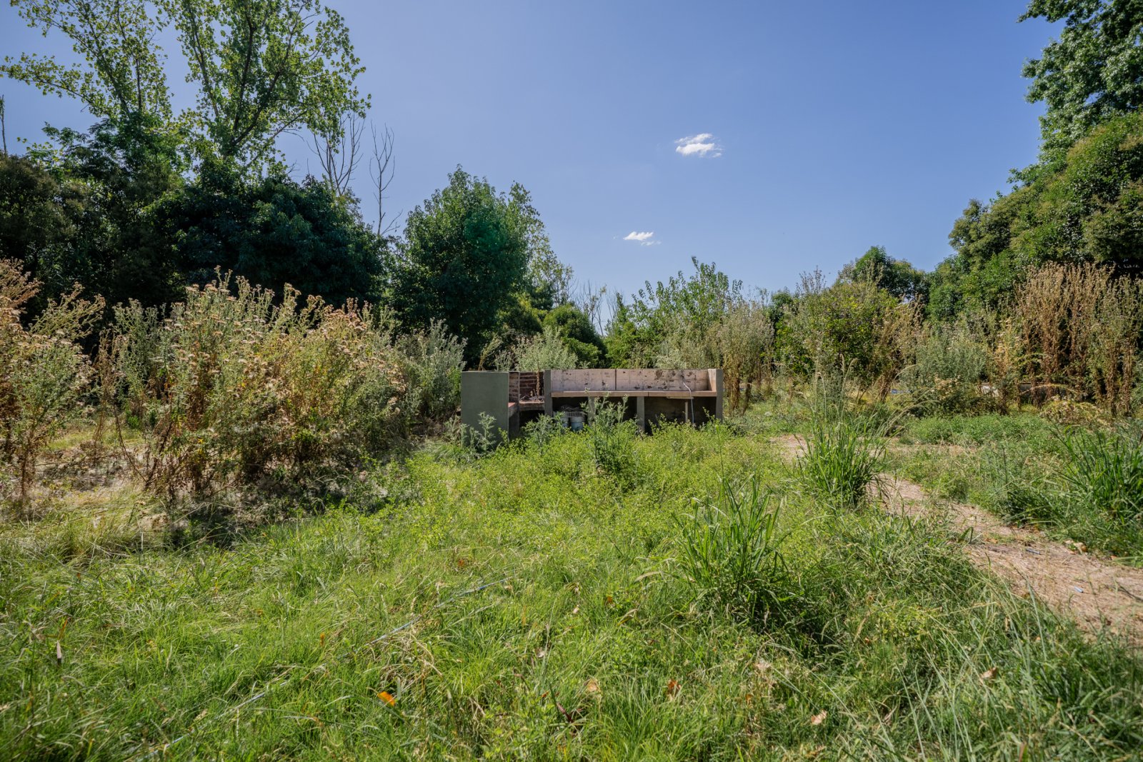 image 32
