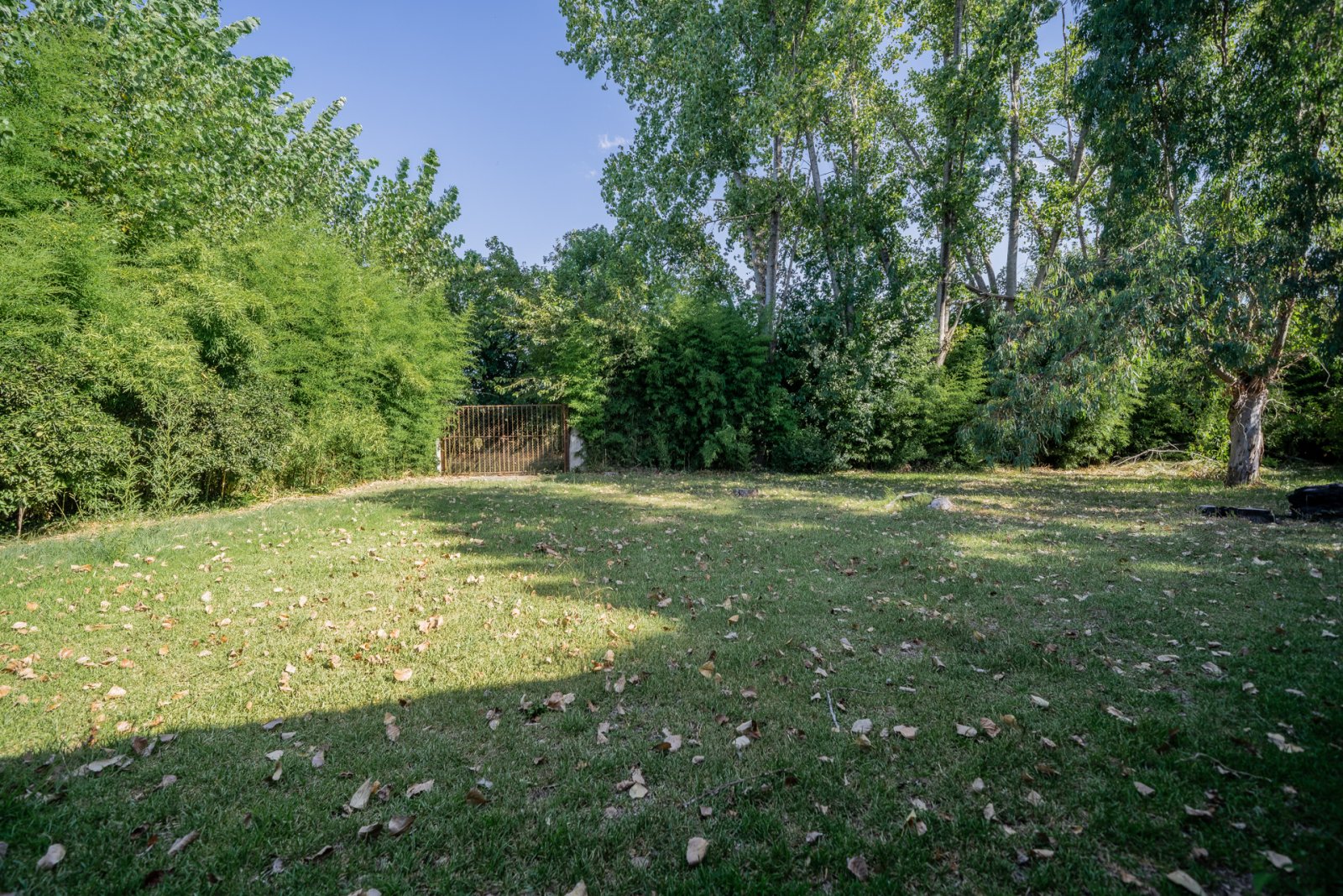 image 33