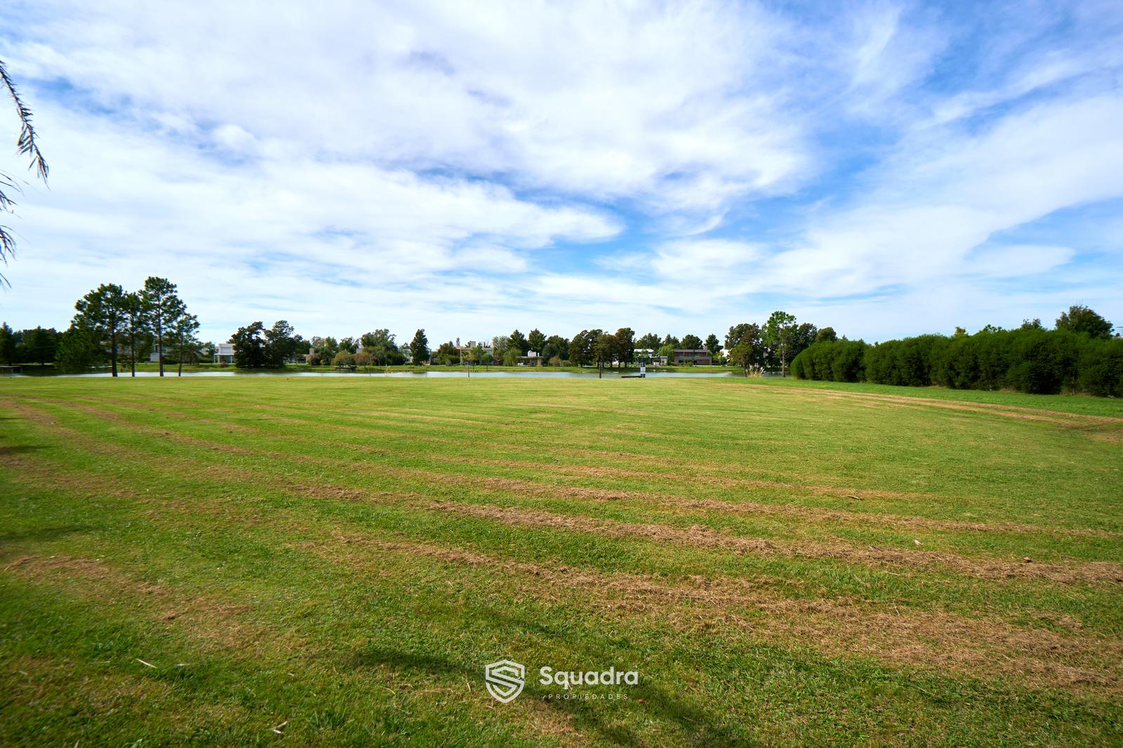 image 41