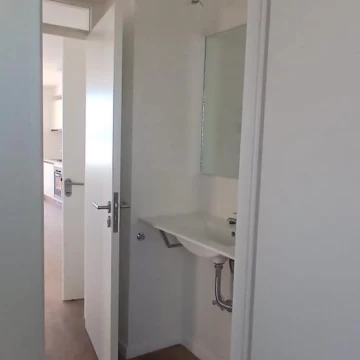 1777317436.jpg