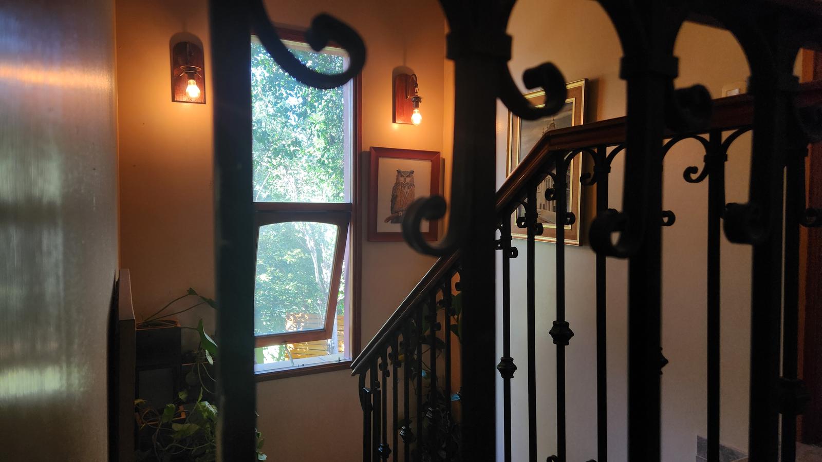 image 38