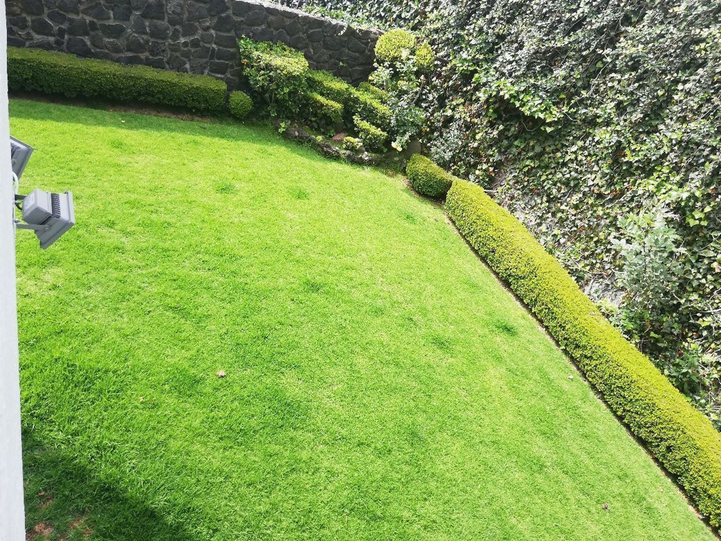jardín.jpg