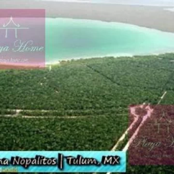 Resale!!!   Lot 1470   Nopalitos Lagoon