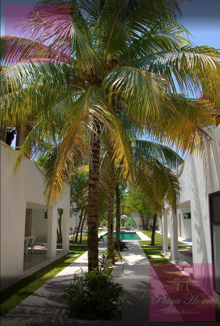 image 14