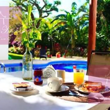 SPECIAL INVESTMENT!!!!  Green Oasis 2 huge and beautiful homes on one lot Playacar Fase II