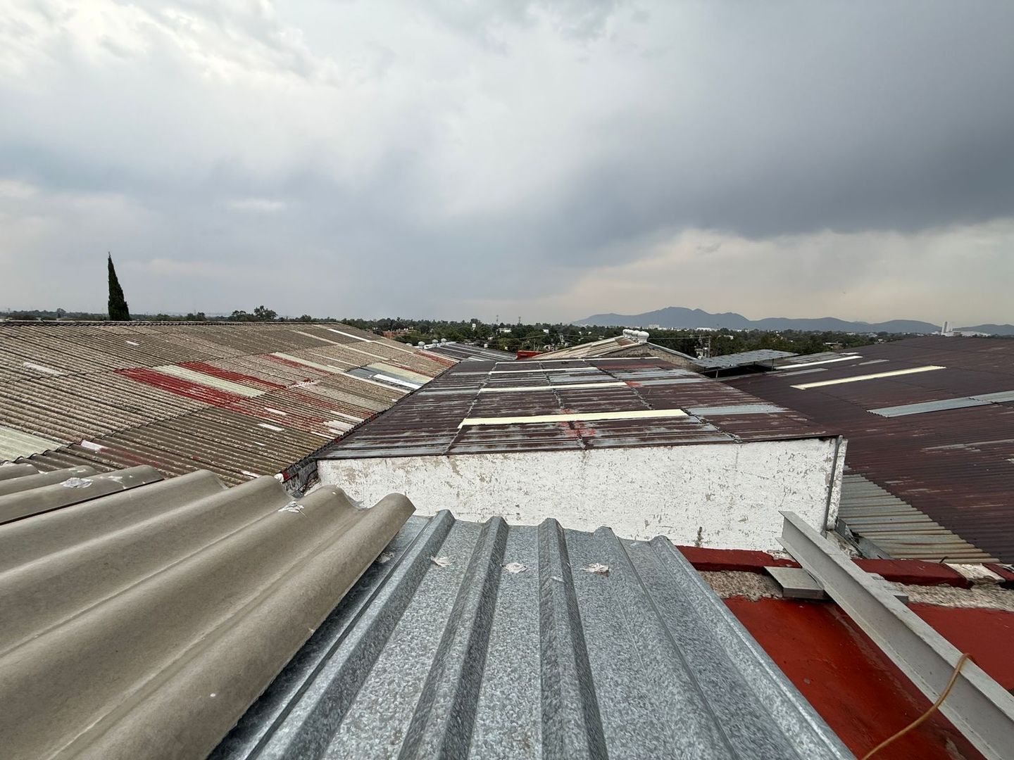 WhatsApp Image 2026-04-24 at 3.56.21 PM (1).jpeg