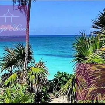 Opportunity !!!!      Lot 009 Mz 302 Region 15 Tulum
